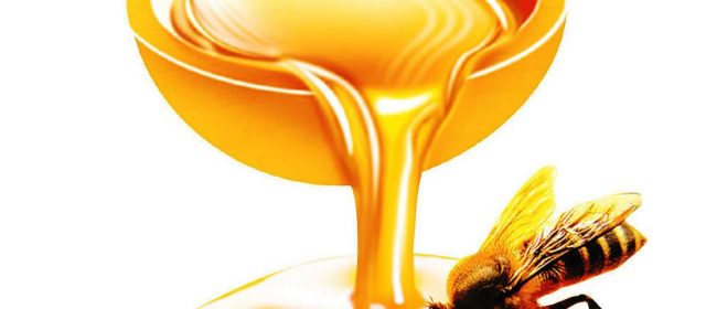Why should you buy honey bees?