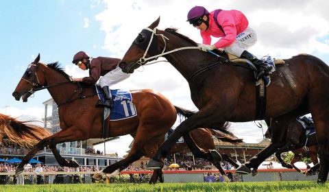 Read this before buying a racehorse