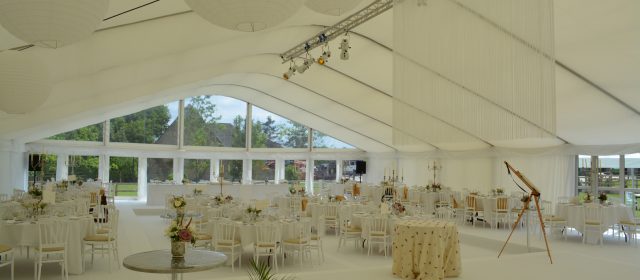 Tips to organize the wedding of your dreams